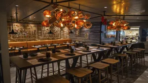 MSC VIRTUOSA image 3